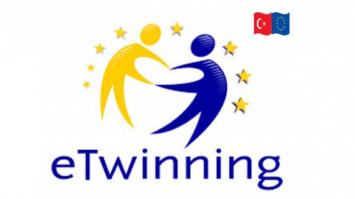 e twinning